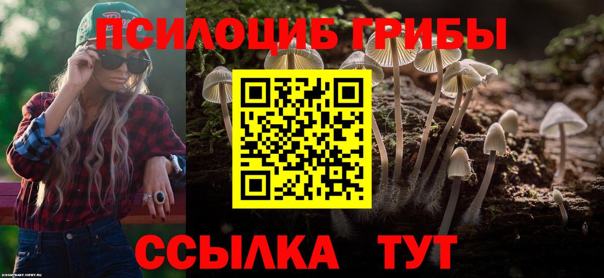 Псилоцибиновые грибы Magic Shrooms Югорск